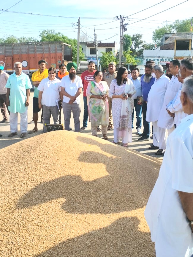 The Deputy Commissioner reviewed the purchase of wheat in Dana Mandi Hoshiarpur